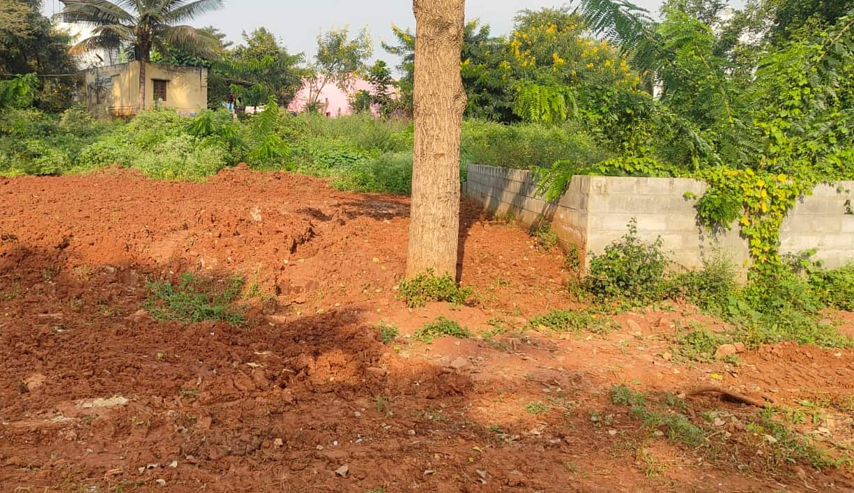 Screenshot 2025-11-12 133741