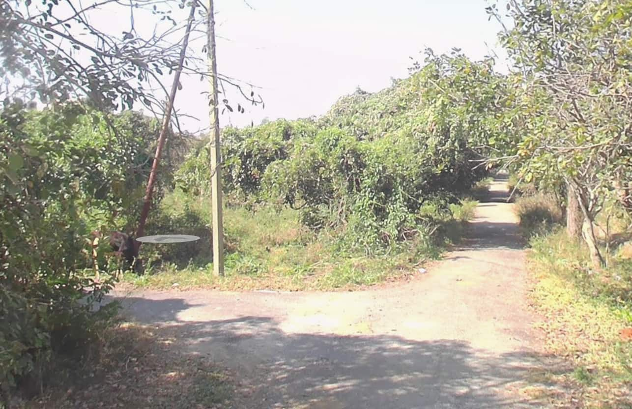 Screenshot 2025-12-16 114828