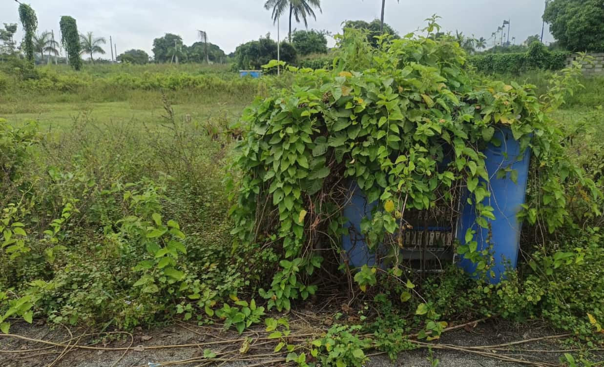 Screenshot 2026-03-25 183215